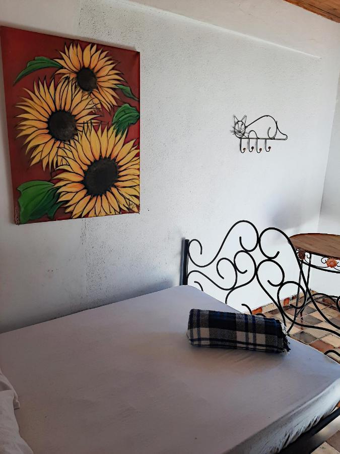 Hospedaria E Hostel Da Deia Ouro Preto  Exterior photo